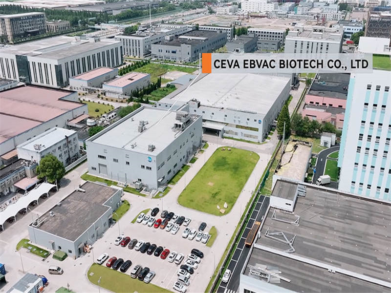 Cas de projet: Ceva Ebvac Biotech Co., Ltd