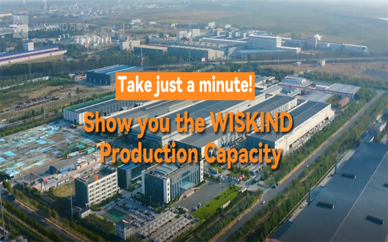 Capacité de Production Wiskind