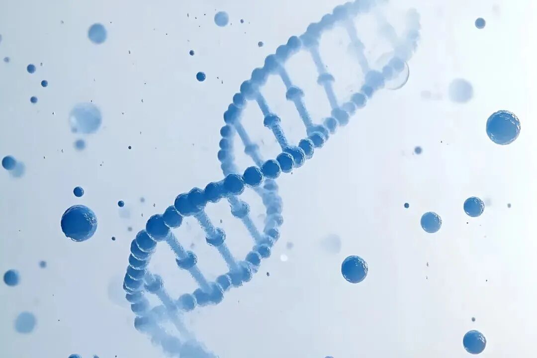 Shandong First Medical University s’associe à Wiskind pour construire un laboratoire cellulaire de haute qualité